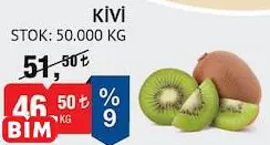 KİVİ KİVİ